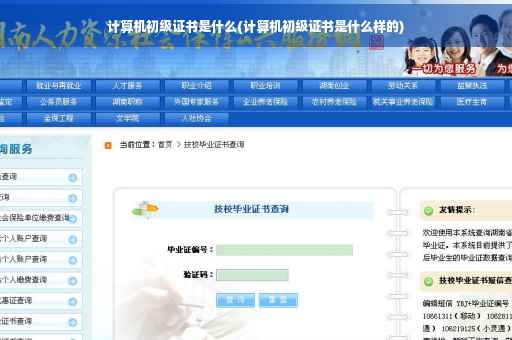 计算机初级证书是什么(计算机初级证书是什么样的)