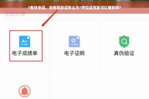 ?有毕业证，没有报到证怎么办?学位证没发可以查到吗?