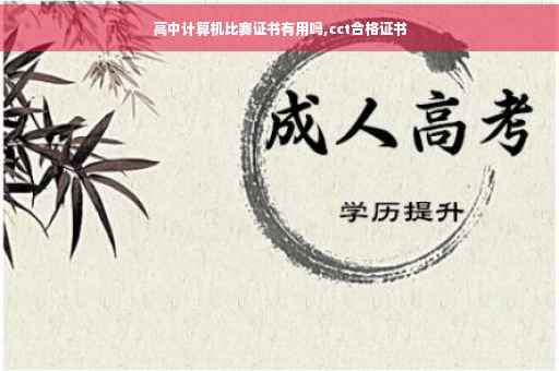 高中计算机比赛证书有用吗,cct合格证书