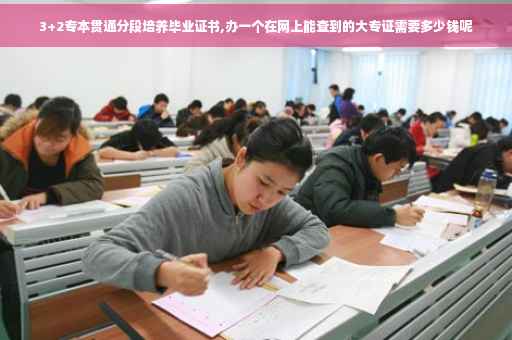 3+2专本贯通分段培养毕业证书,办一个在网上能查到的大专证需要多少钱呢