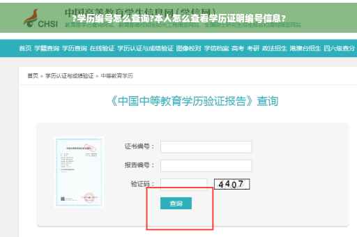 ?学历编号怎么查询?本人怎么查看学历证明编号信息?