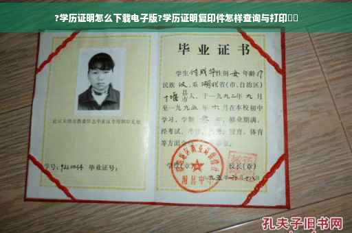 ?学历证明怎么下载电子版?学历证明复印件怎样查询与打印⚡️