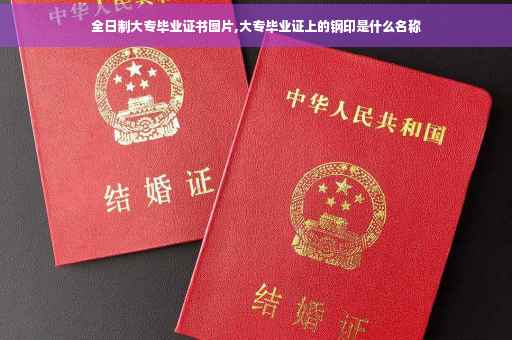 全日制大专毕业证书图片,大专毕业证上的钢印是什么名称