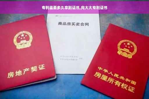 专利需要多久拿到证书,向大大专利证书