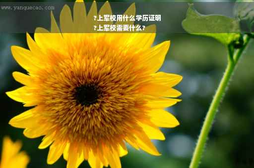 ?上军校用什么学历证明
?上军校需要什么?