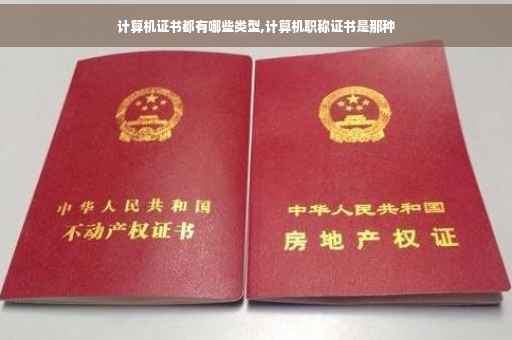 计算机证书都有哪些类型,计算机职称证书是那种