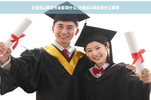 计算机a级证书全称是什么,计算机A级证是什么意思