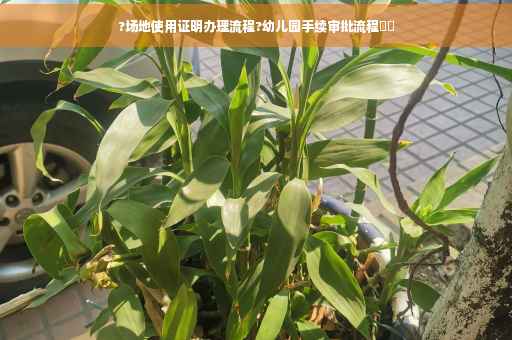 ?场地使用证明办理流程?幼儿园手续审批流程⚡️