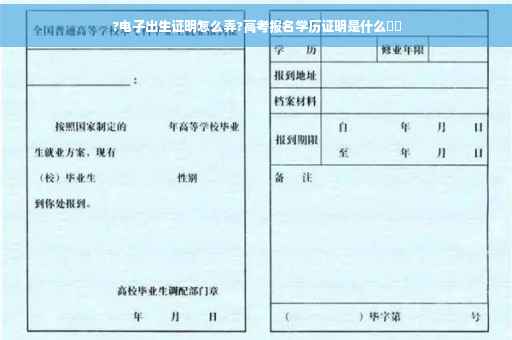 ?电子出生证明怎么弄?高考报名学历证明是什么⚡️