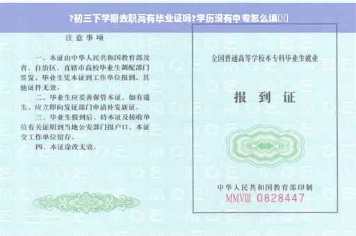 ?初三下学期去职高有毕业证吗?学历没有中专怎么填⚡️