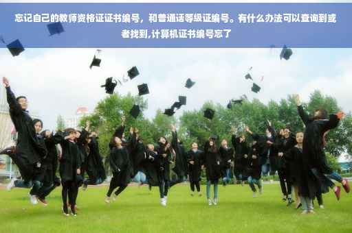 忘记自己的教师资格证证书编号，和普通话等级证编号。有什么办法可以查询到或者找到,计算机证书编号忘了