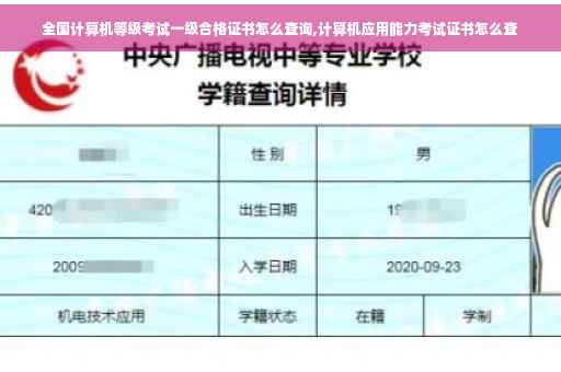 全国计算机等级考试一级合格证书怎么查询,计算机应用能力考试证书怎么查