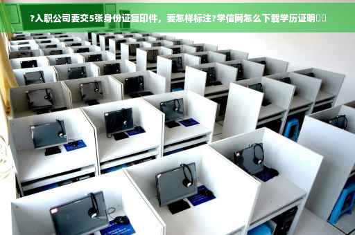 ?入职公司要交5张身份证复印件，要怎样标注?学信网怎么下载学历证明⚡️