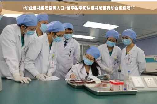 ?毕业证书编号查询入口?留学生学历认证书是否有毕业证编号⚡️
