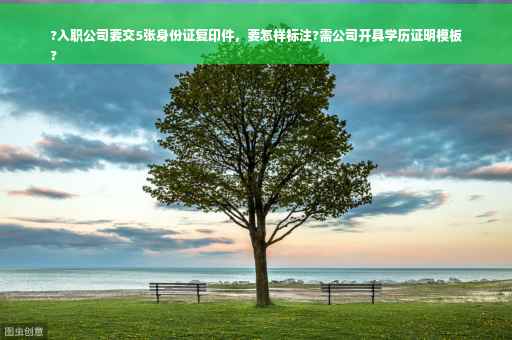 ?入职公司要交5张身份证复印件，要怎样标注?需公司开具学历证明模板
?