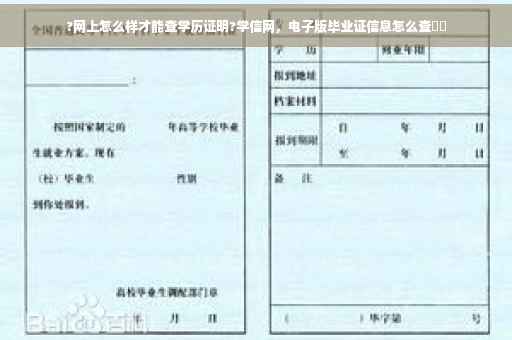 ?网上怎么样才能查学历证明?学信网，电子版毕业证信息怎么查⚡️