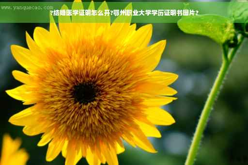 ?结婚医学证明怎么开?鄂州职业大学学历证明书图片?