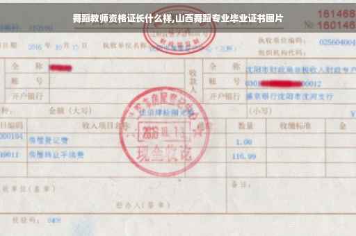 舞蹈教师资格证长什么样,山西舞蹈专业毕业证书图片