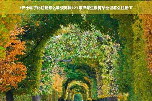 ?护士电子化注册怎么申请亮照?21年护考生没有毕业证怎么注册⚡️