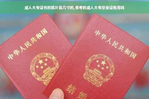 成人大专证书的照片是几寸的,免考的成人大专毕业证有用吗 成人大专证书的照片是几寸的,免考的成人大专毕业证有用吗