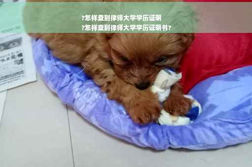 ?怎样查到律师大学学历证明
?怎样查到律师大学学历证明书?
