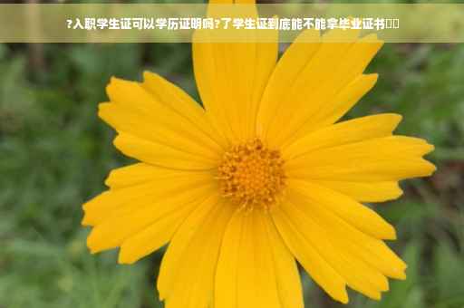 ?入职学生证可以学历证明吗?了学生证到底能不能拿毕业证书⚡️