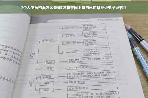 ?个人学历档案怎么查询?怎样在网上查自己的毕业证电子证书⚡️