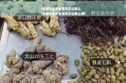 ?往届生报护资要学历证明么
?往届生报护资要学历证明么吗?
