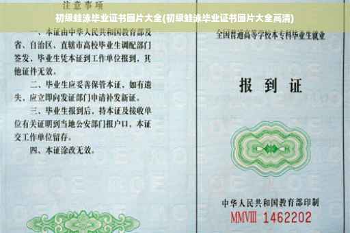 初级蛙泳毕业证书图片大全(初级蛙泳毕业证书图片大全高清)