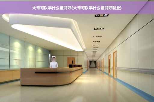 大专可以学什么证书好(大专可以学什么证书好就业)