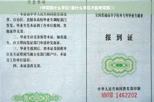 ?学驾照什么学历?要什么学历才能考驾照⚡️