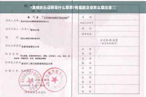 ?其他资历证明是什么意思?有案底企业怎么查出来⚡️