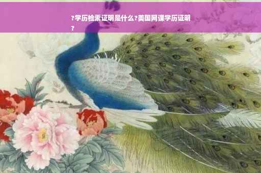 ?学历检索证明是什么?美国网课学历证明
?