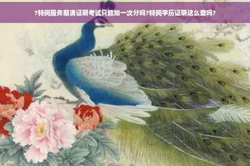 ?特岗服务期满证明考试只能加一次分吗?特岗学历证明这么查吗?