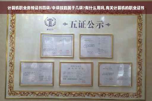 计算机职业资格证书四级/中级技能属于几级?有什么用吗,有关计算机的职业证书 计算机职业资格证书四级/中级技能属于几级?有什么用吗,有关计算机的职业证书