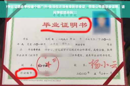 ?学历证明由学校哪个部门开?我现在还没有拿到毕业证，但是公司要毕业证明，请问学校给开吗⚡️