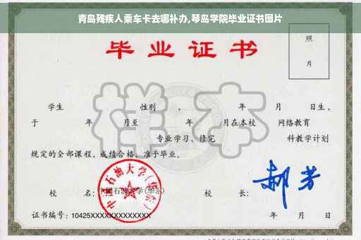 青岛残疾人乘车卡去哪补办,琴岛学院毕业证书图片