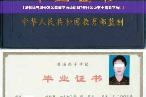 ?没有证书编号怎么查询学历证明啊?考什么证书不需要学历⚡️