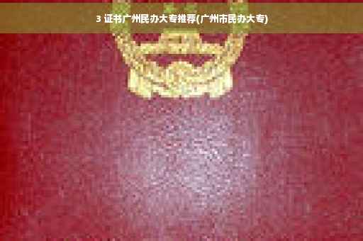 3 证书广州民办大专推荐(广州市民办大专)