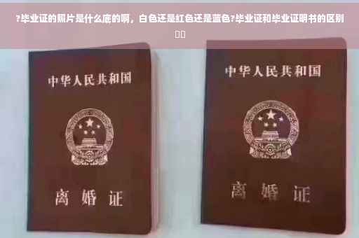 ?毕业证的照片是什么底的啊，白色还是红色还是蓝色?毕业证和毕业证明书的区别⚡️