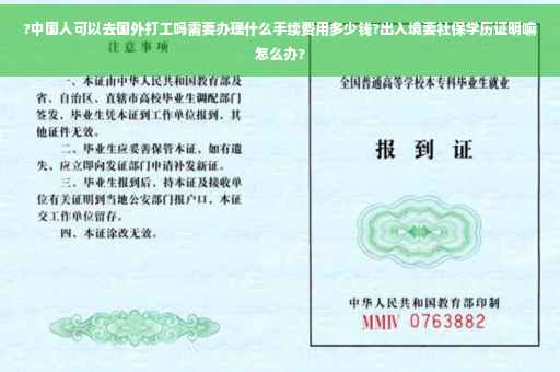 ?中国人可以去国外打工吗需要办理什么手续费用多少钱?出入境要社保学历证明嘛怎么办?