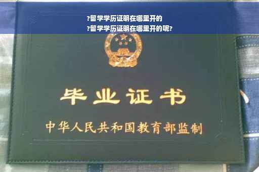 ?留学学历证明在哪里开的
?留学学历证明在哪里开的呢?