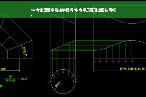 ?中专出国留学能挂学籍吗?中专学历证明出国认可吗
?