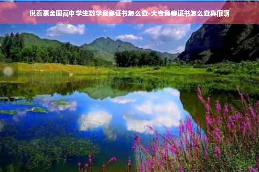 倪嘉豪全国高中学生数学竞赛证书怎么查-大专竞赛证书怎么查真假啊