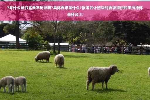 ?考什么证书需要学历证明?具体要求是什么?报考会计初级时要求提供的学历原件是什么⚡️