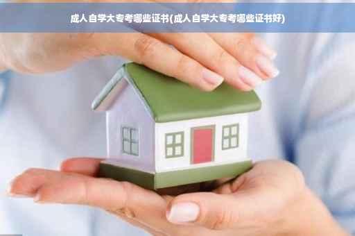 成人自学大专考哪些证书(成人自学大专考哪些证书好)