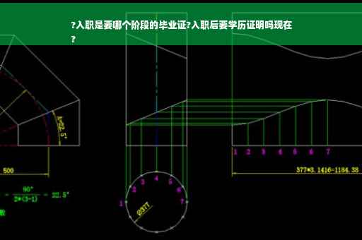 ?入职是要哪个阶段的毕业证?入职后要学历证明吗现在
?