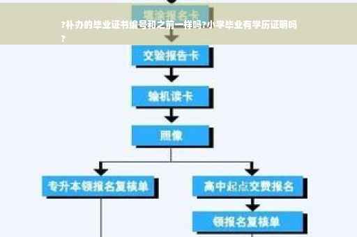 ?补办的毕业证书编号和之前一样吗?小学毕业有学历证明吗
?