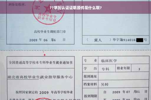 ??学历认证证明原件是什么啊?