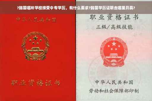 ?韩国哪所学校接受中专学历，有什么要求?韩国学历证明去哪里开具?